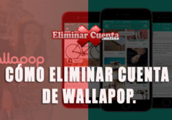 Eliminar cuenta de Wallapop